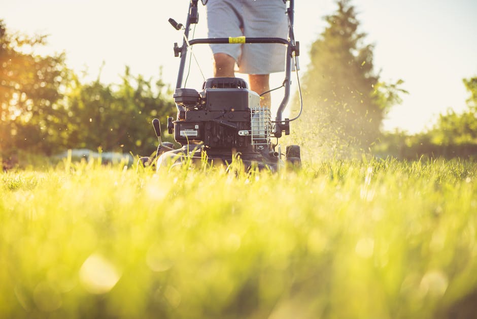 The image shows a person operating a lawnmower on a well-maintained grassy area, with the focus on the machinery and the vibrant green grass. The person’s legs are visible, wearing light-colored shorts, and standing behind the mower, which is black and grey with visible engine components and a yellow safety handle. The grass appears freshly cut, with blades of grass scattered around as the mower moves forward. In the background, leafy trees and shrubs are slightly blurred, illuminated by warm sunlight suggesting late afternoon or early evening, creating a golden glow around the scene. The environment appears to be an outdoor garden or lawn, possibly part of a private property or public park, where maintaining the grass may involve professional or private gardening services. This setting subtly connects to the theme of outdoor waste management or garden clearance, relevant to rubbish removal services provided by Rubbish Clearance Lambeth, particularly when handling garden waste, debris, or excess plant materials during on-site clearance or private disposal tasks.